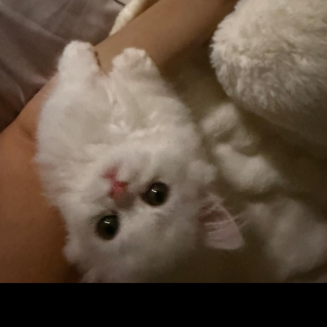 一拳打死鲁智深💋⁵²⁰