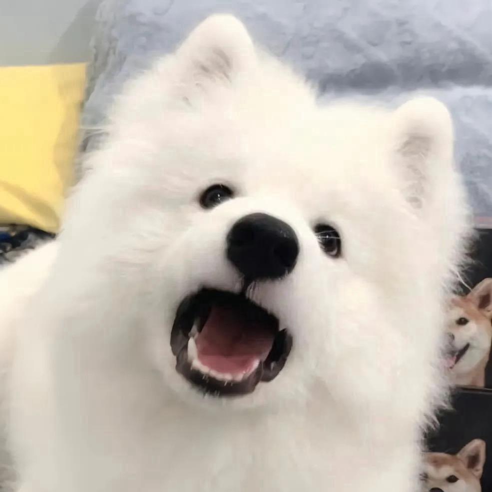 杉杉