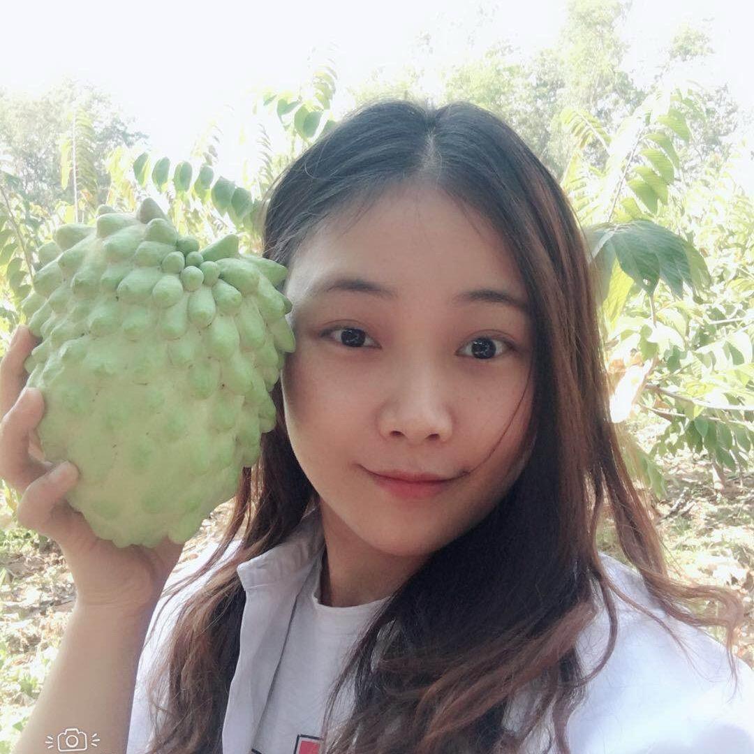 邓子(果品供应链)