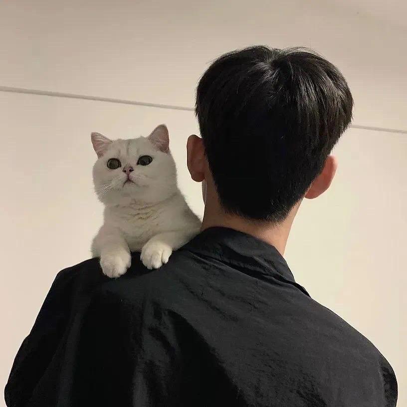 小魏.ㅤ