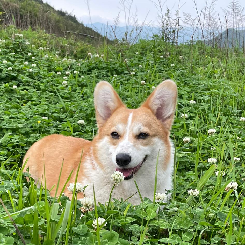天边