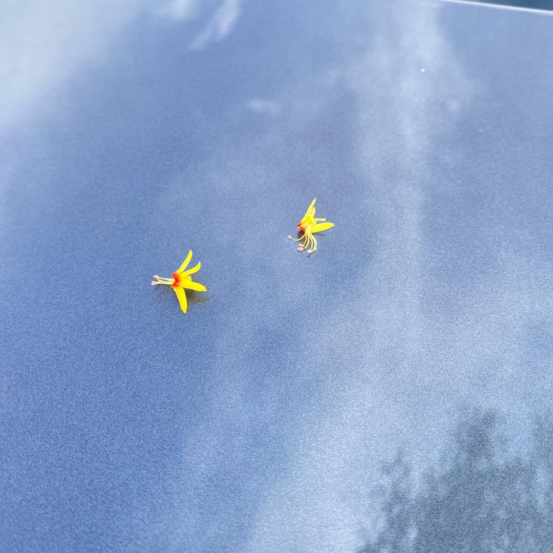 力护驰·洪运养车