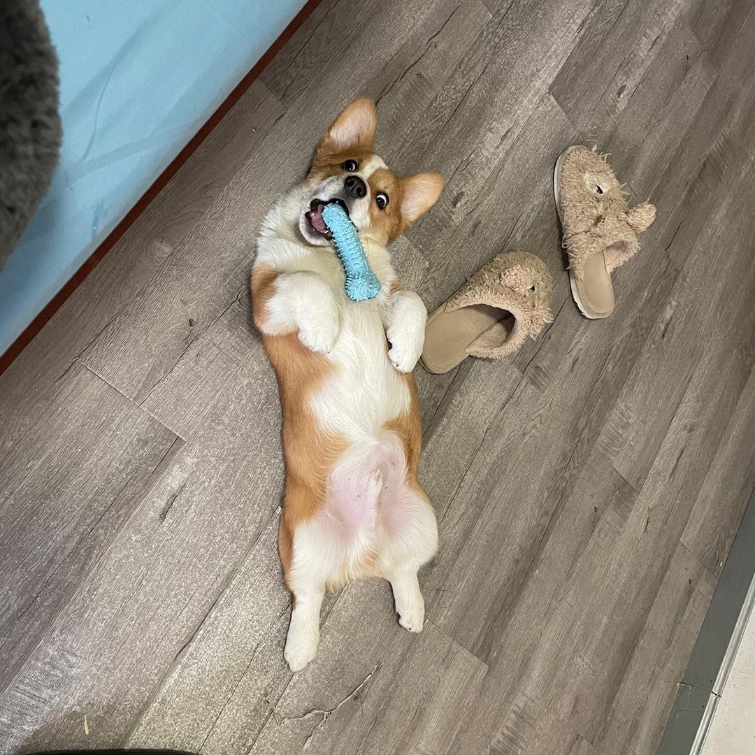 二爷【专斩老幼】