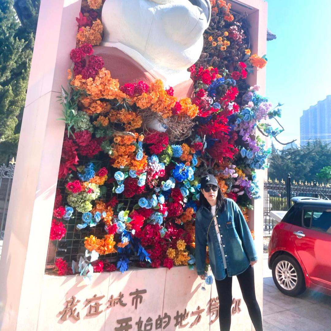 一只杨哈哈