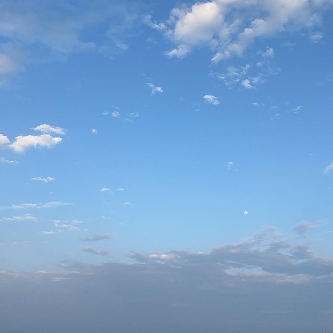 好物甄选