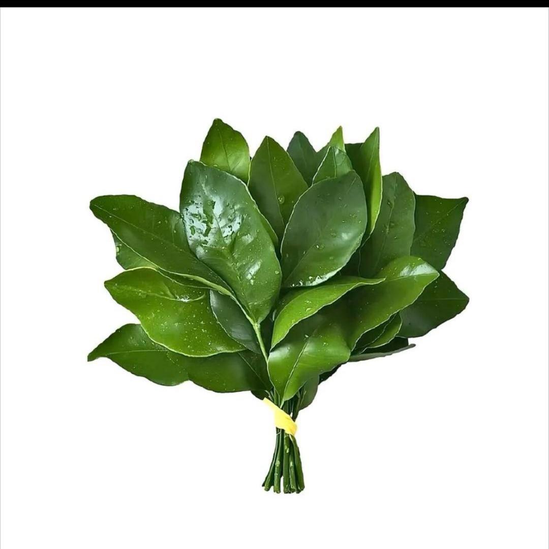 不爱吃饭