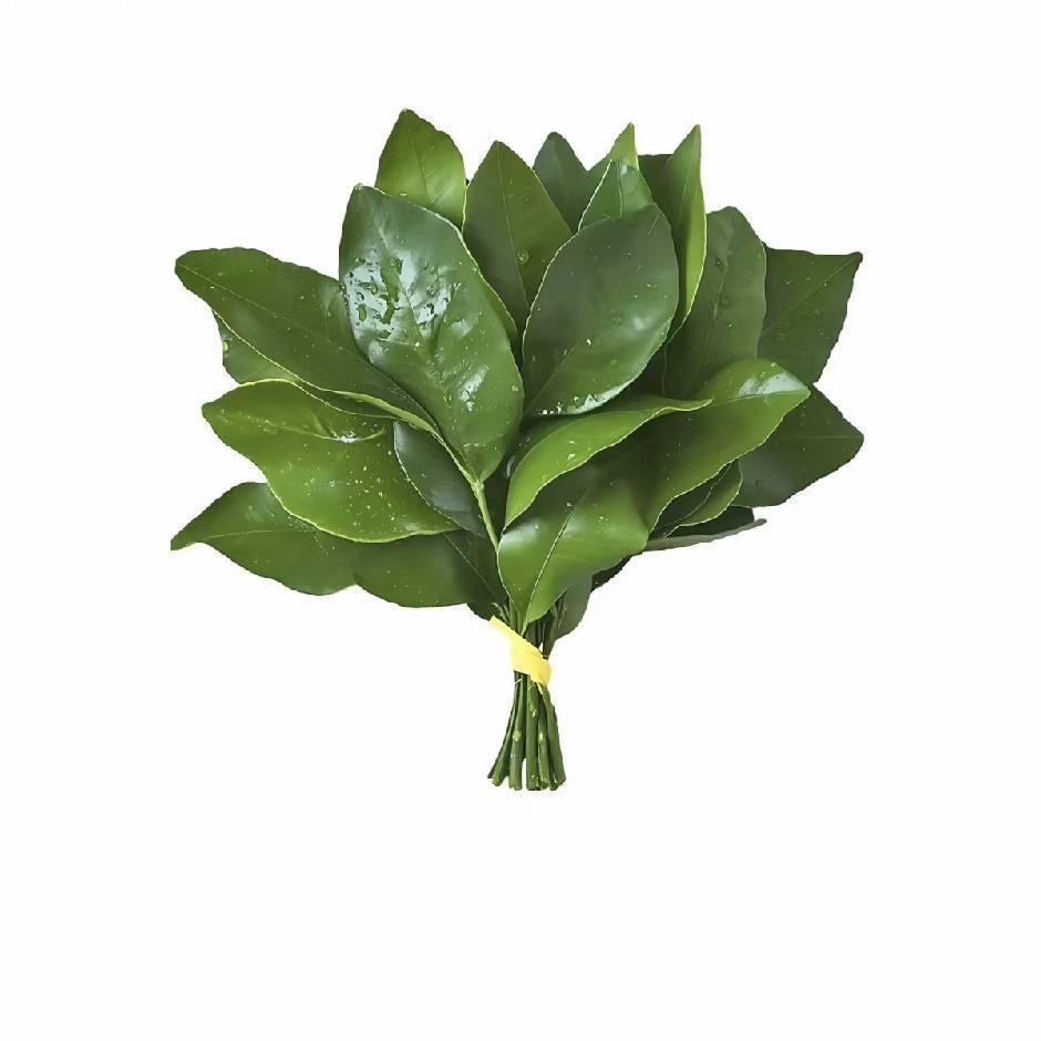 小氿日记＃