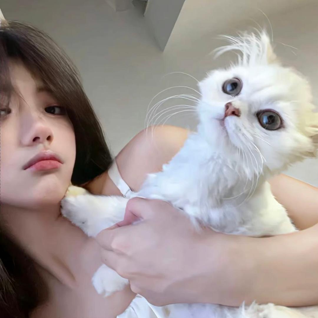 汤咩-