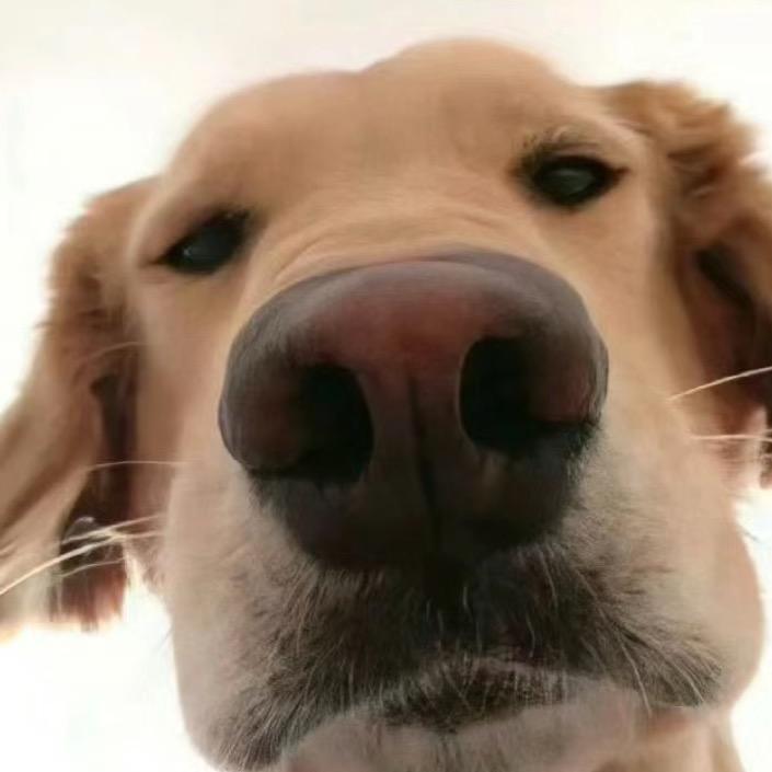 窗外雨哇啦哇啦