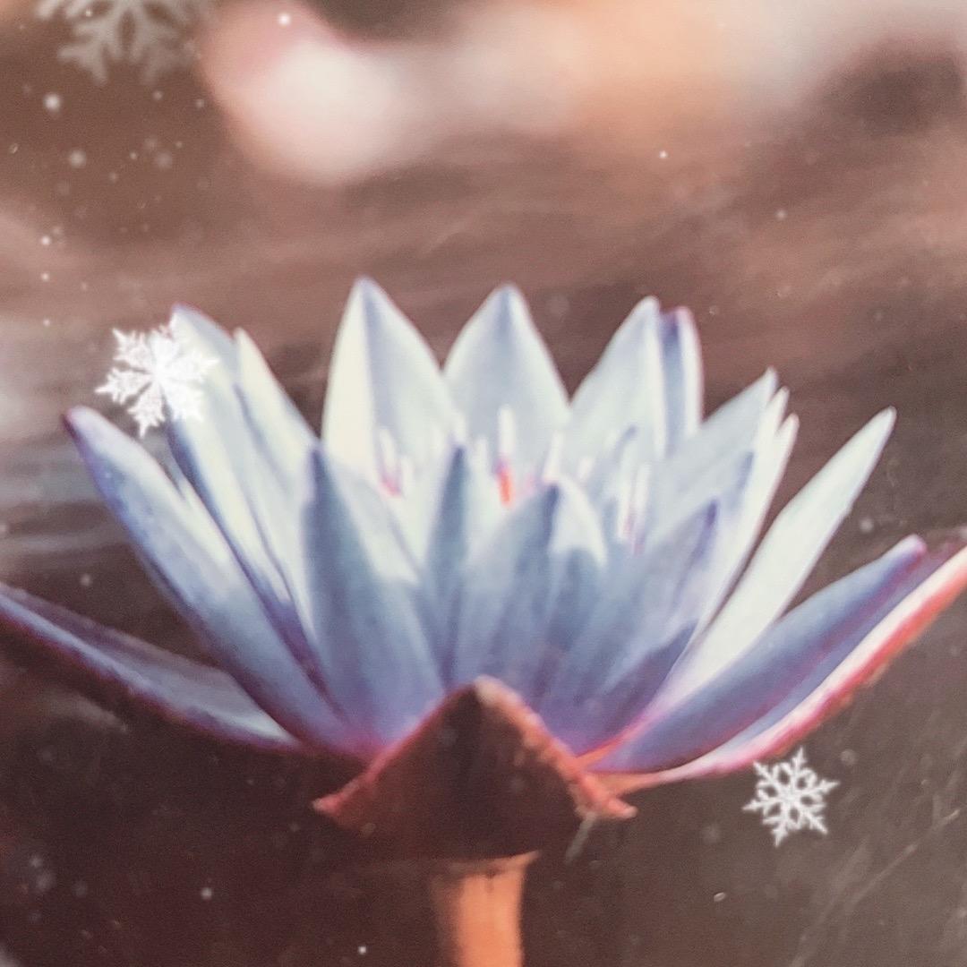 浅笑心软