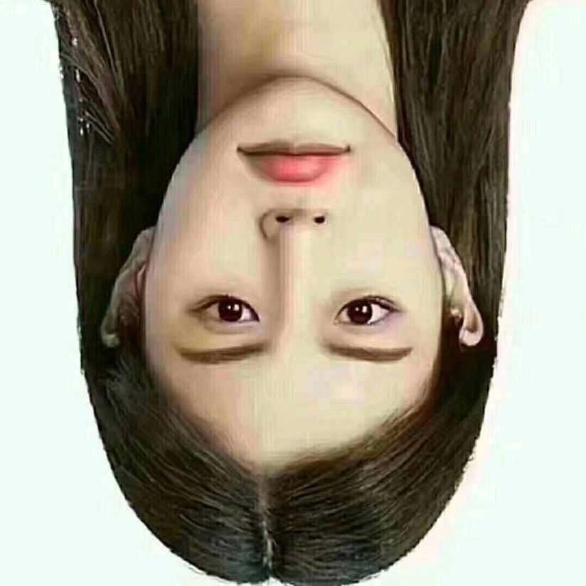 艺术细菌🦠