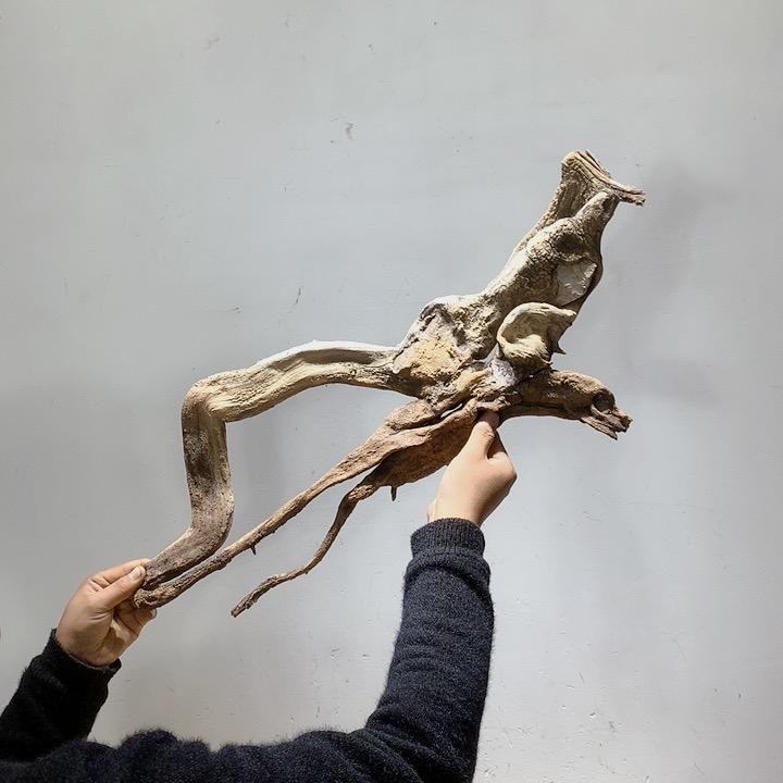 泡泡步逗逗风