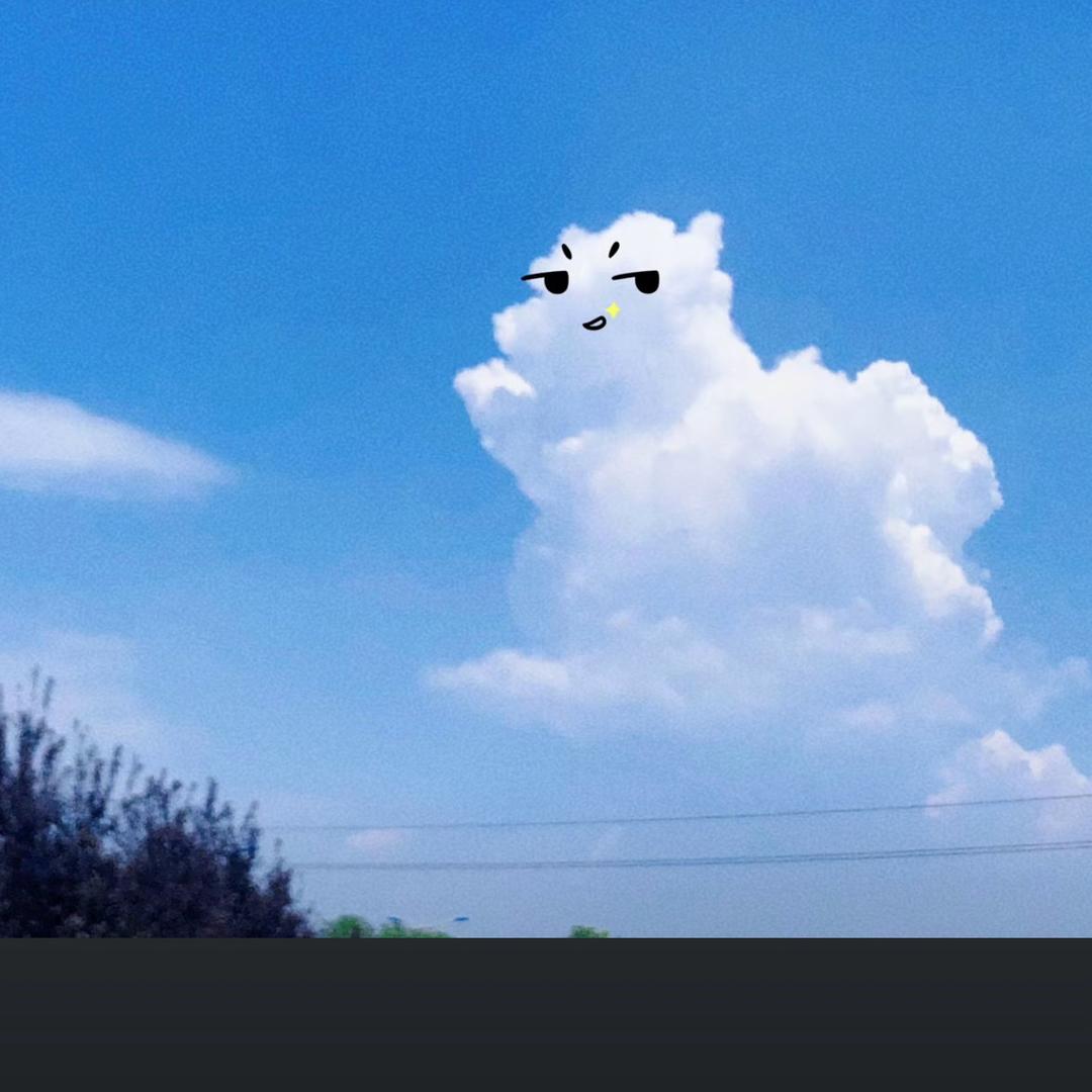 ………….