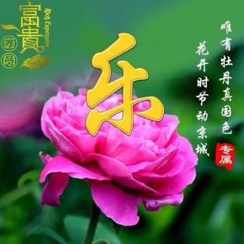 抖音名字