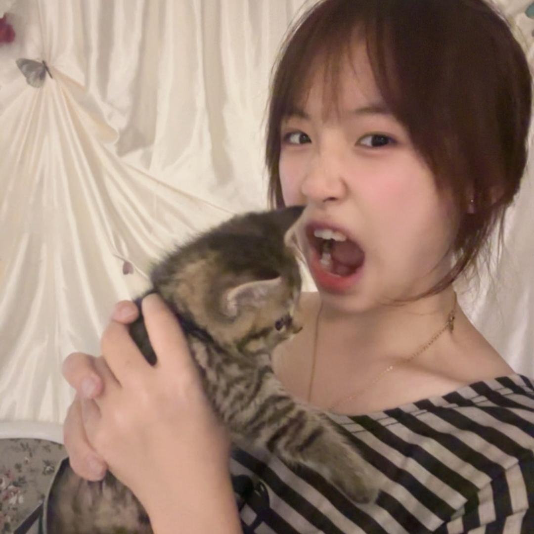 🐟爱吃菜