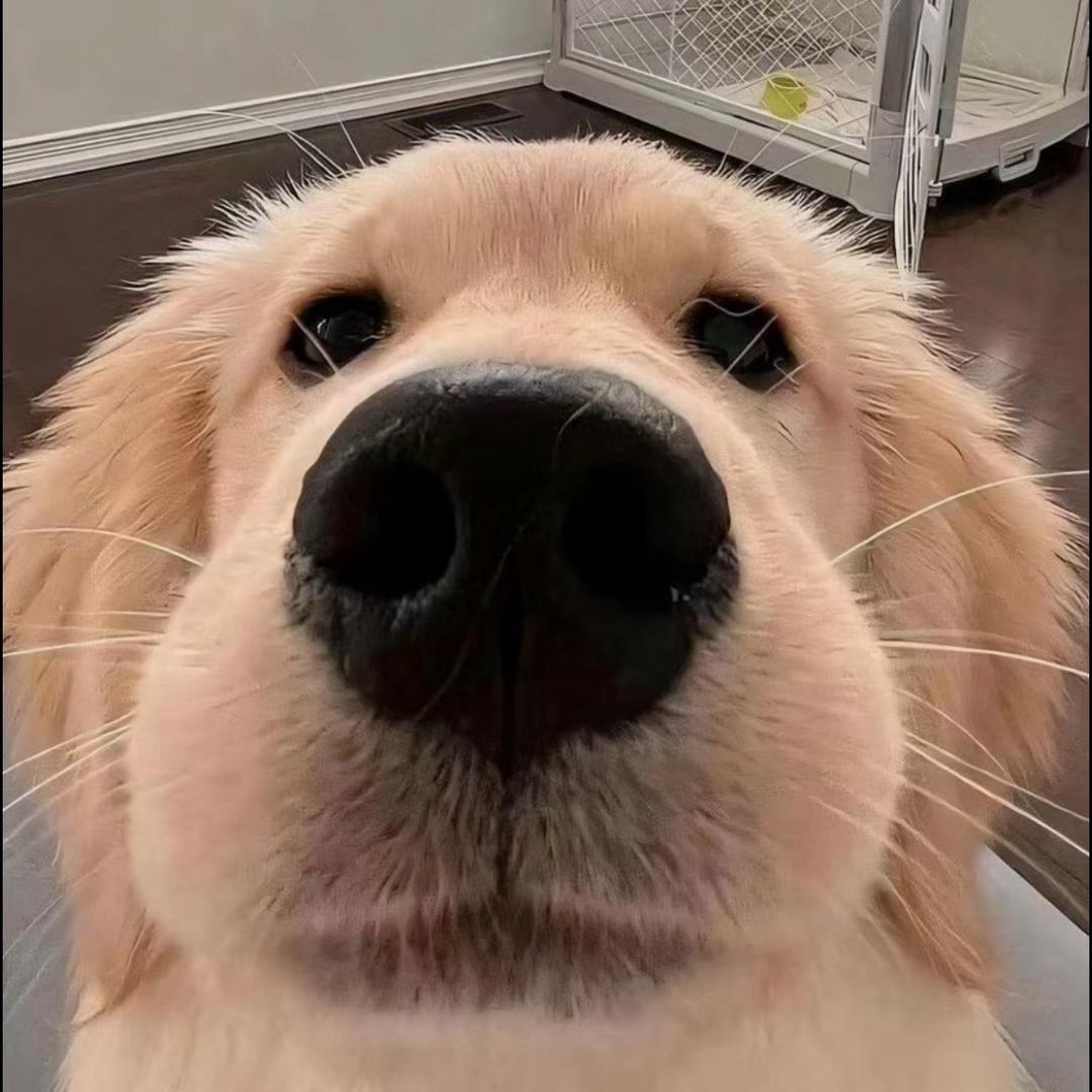 不丢是只舔舔怪👅