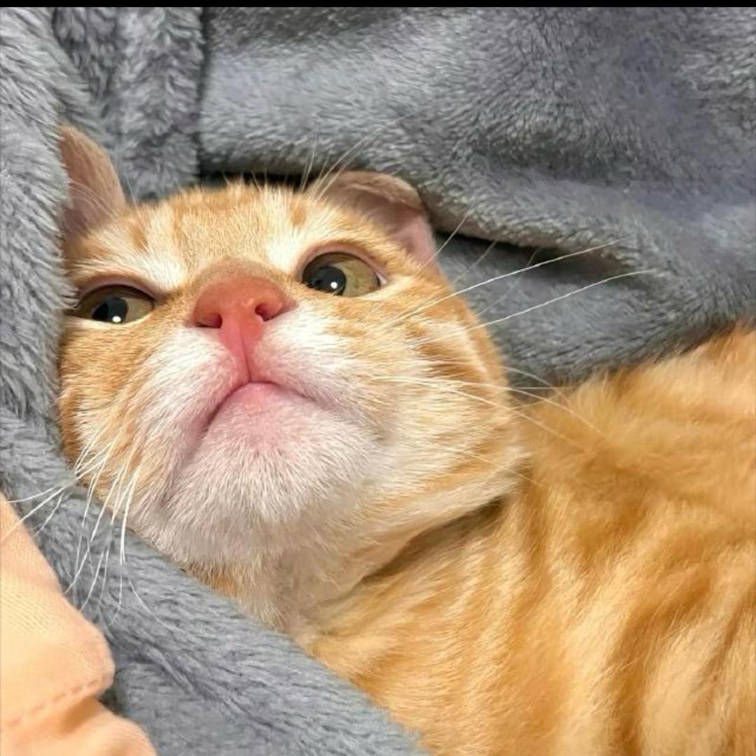 一锅粥