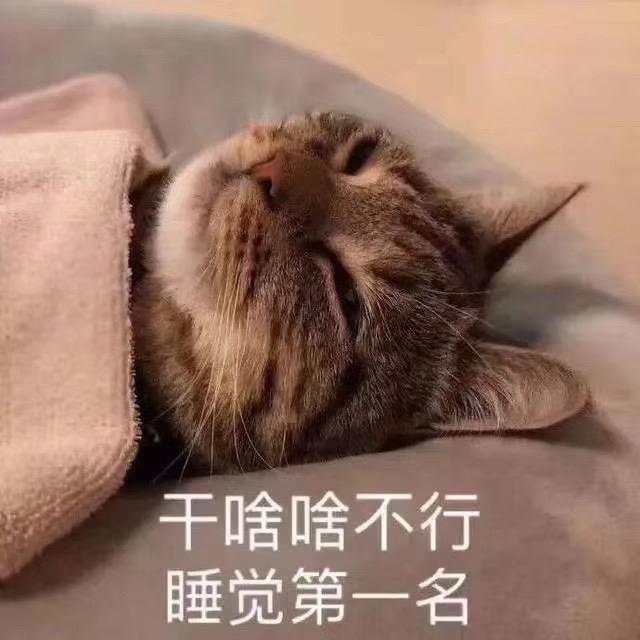 都是朋友💪