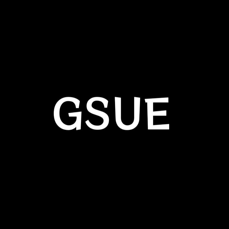 GSUE汽车用品