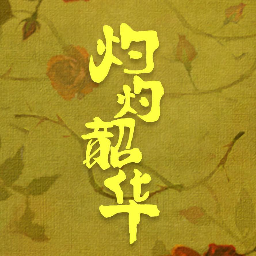 灼灼韶华