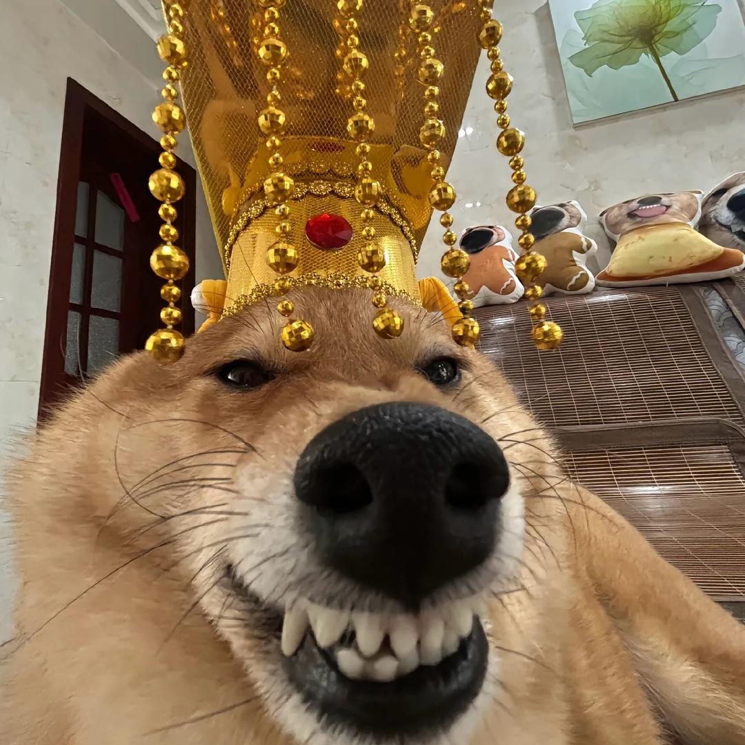 AAA大运重卡卢师傅（跟我的保险说去吧）