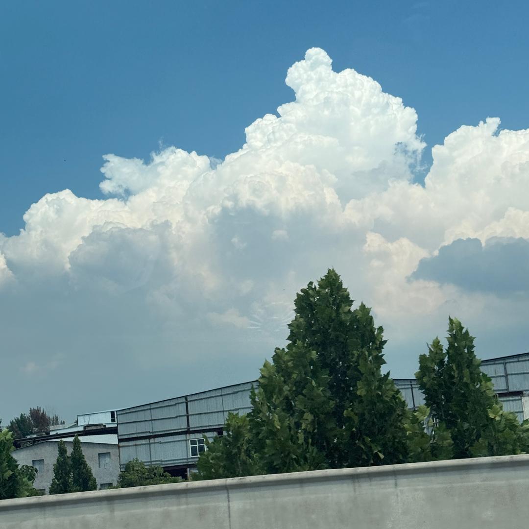 ╄→失呿の靑舂