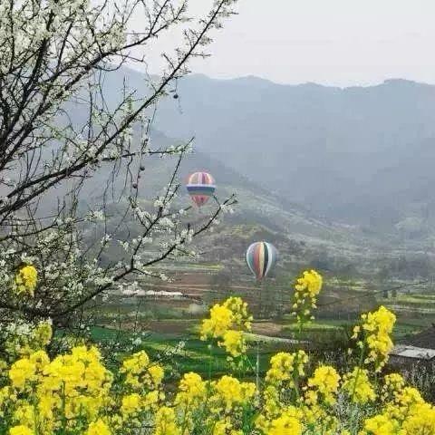 阳@