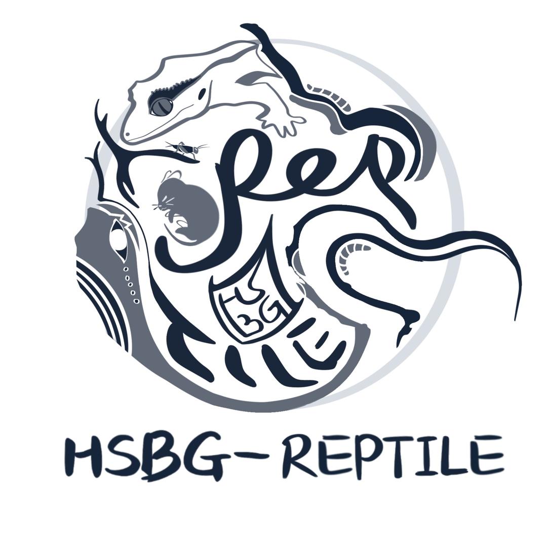 HSBG白菜