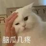 曾经的小少年