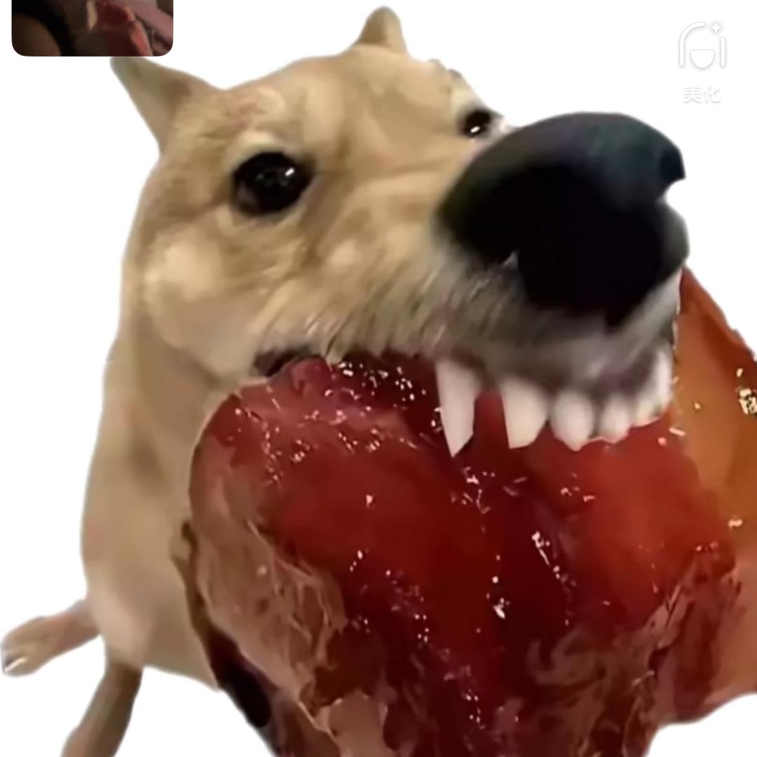 秀雯🍏