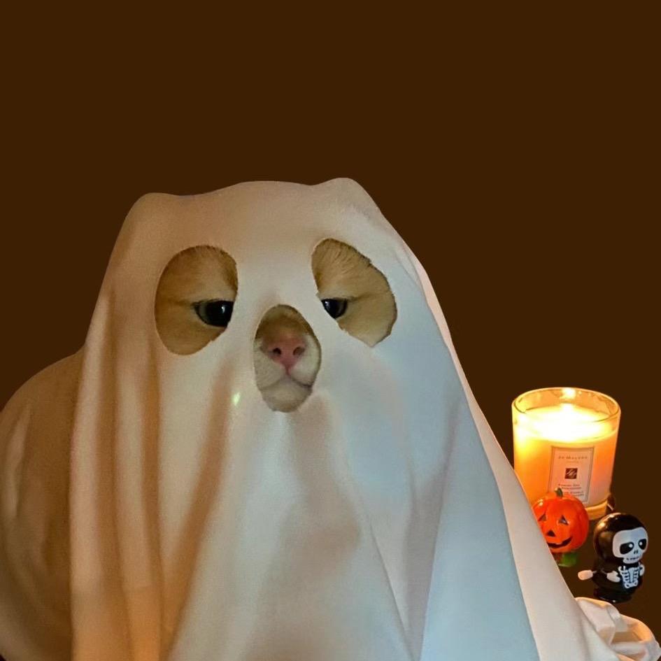 椰蓉小倍🥥🍃