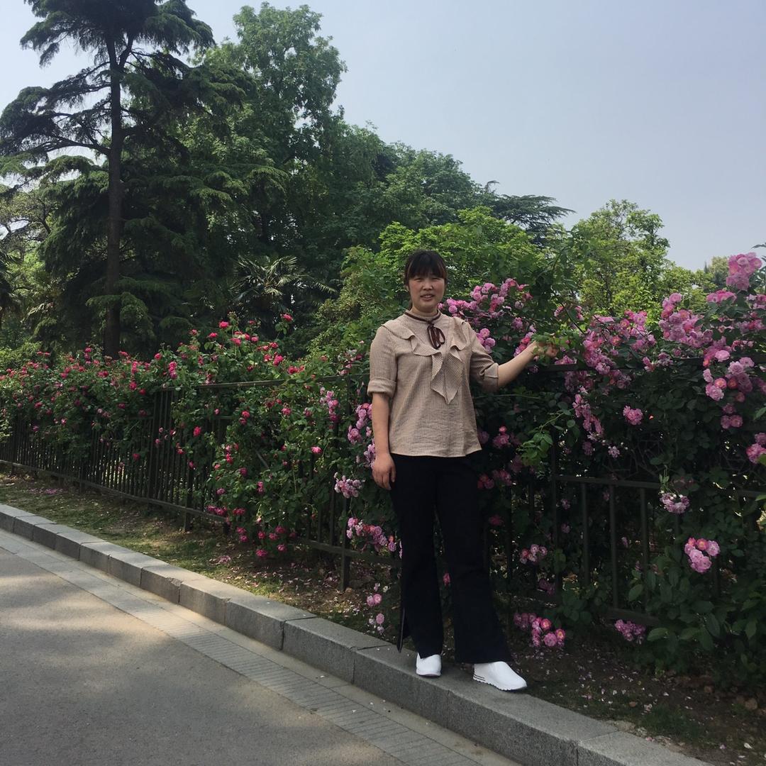 郑楼二子（记录农村生活）