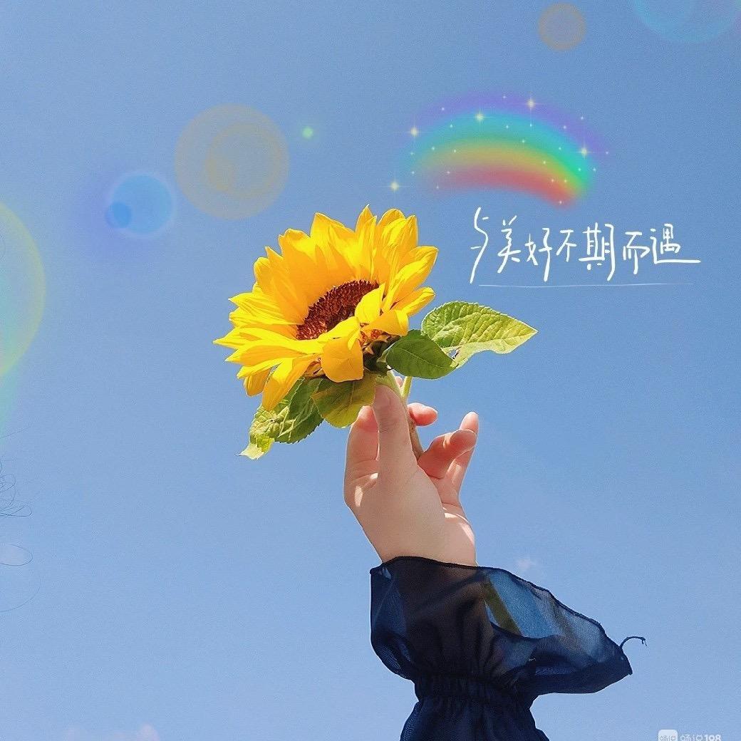 @是芹芹吖✨