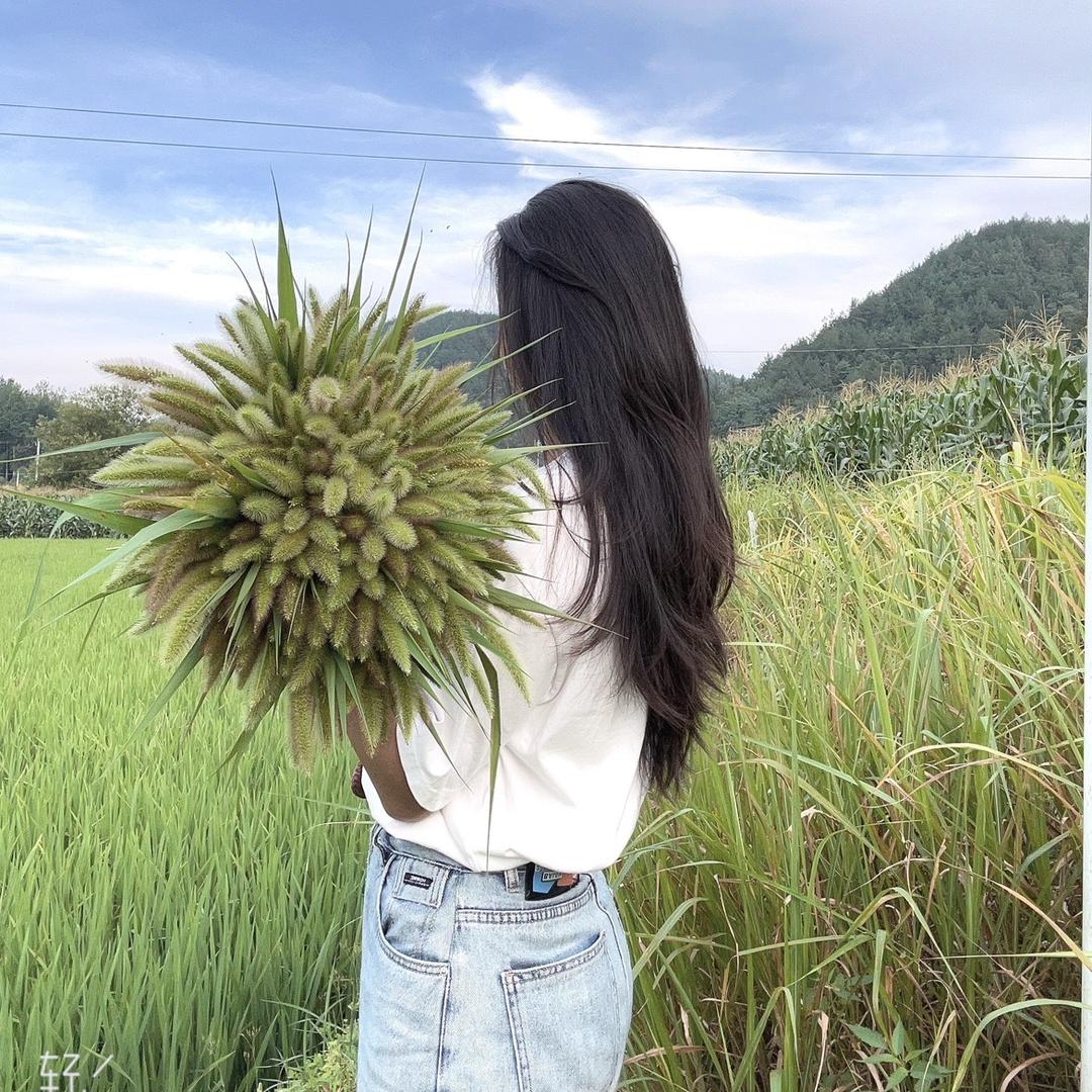 潇姿
