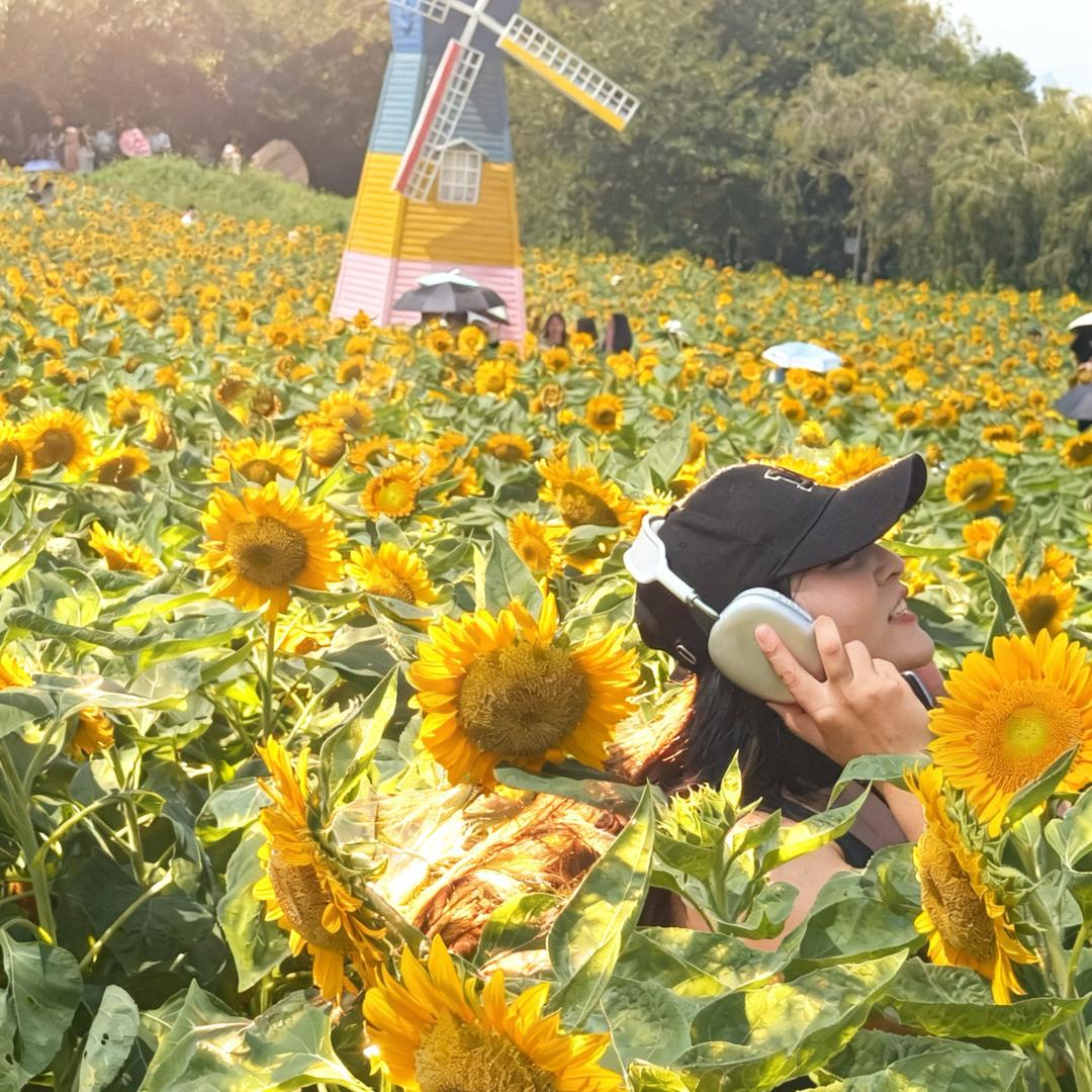 向阳而生的花木
