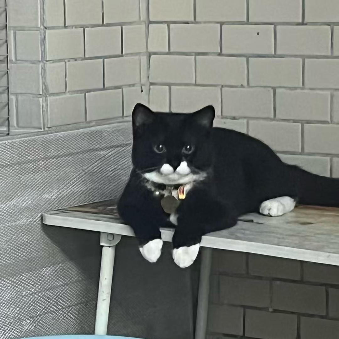 欭惗