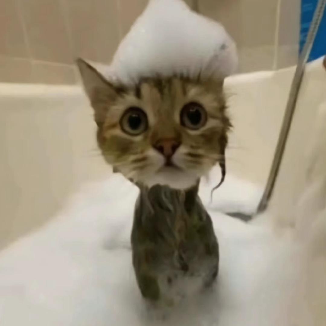 mi mi yi