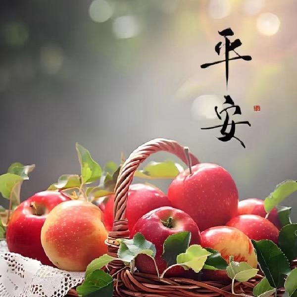森予果业