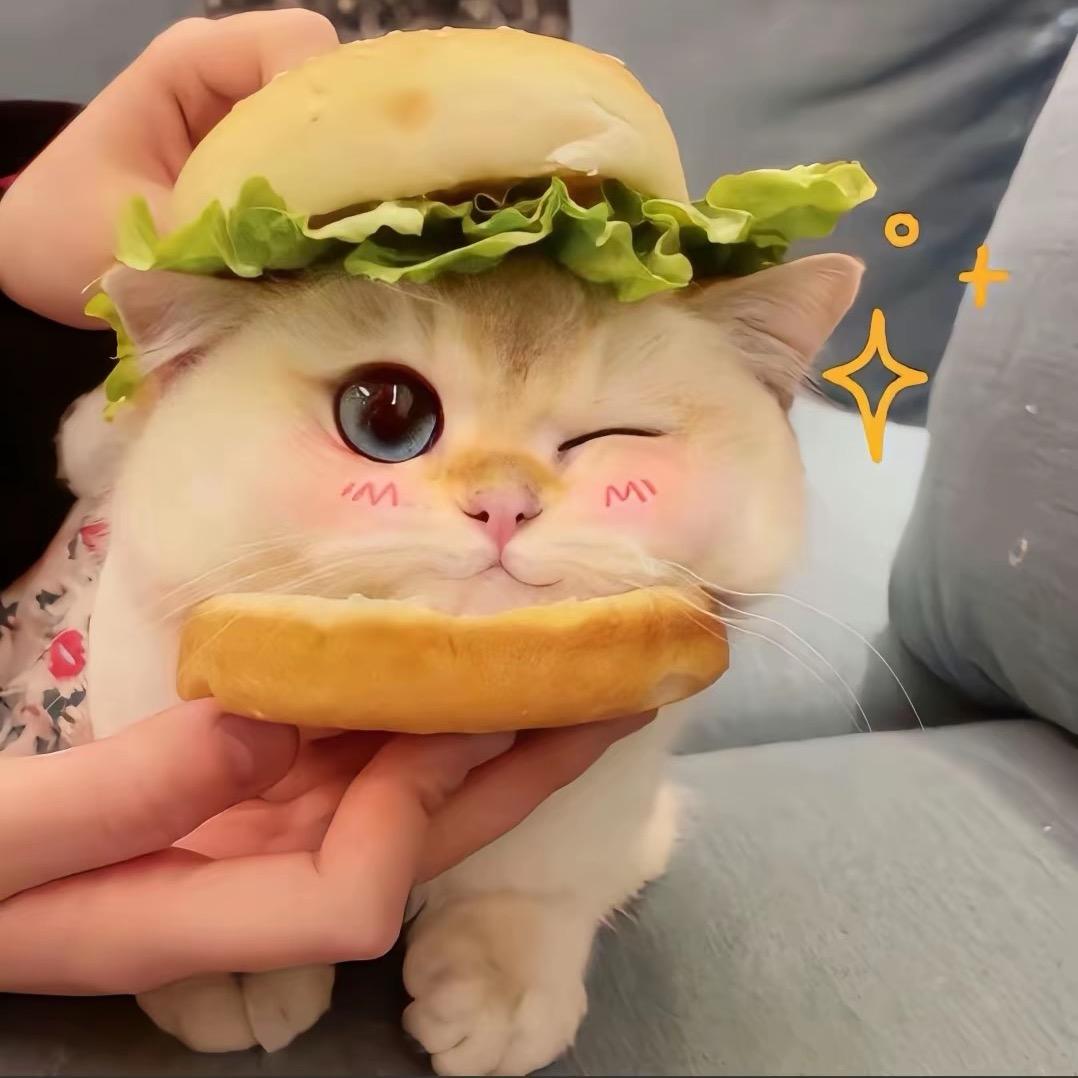 慧慧呀٩(͡๏̯͡๏)۶