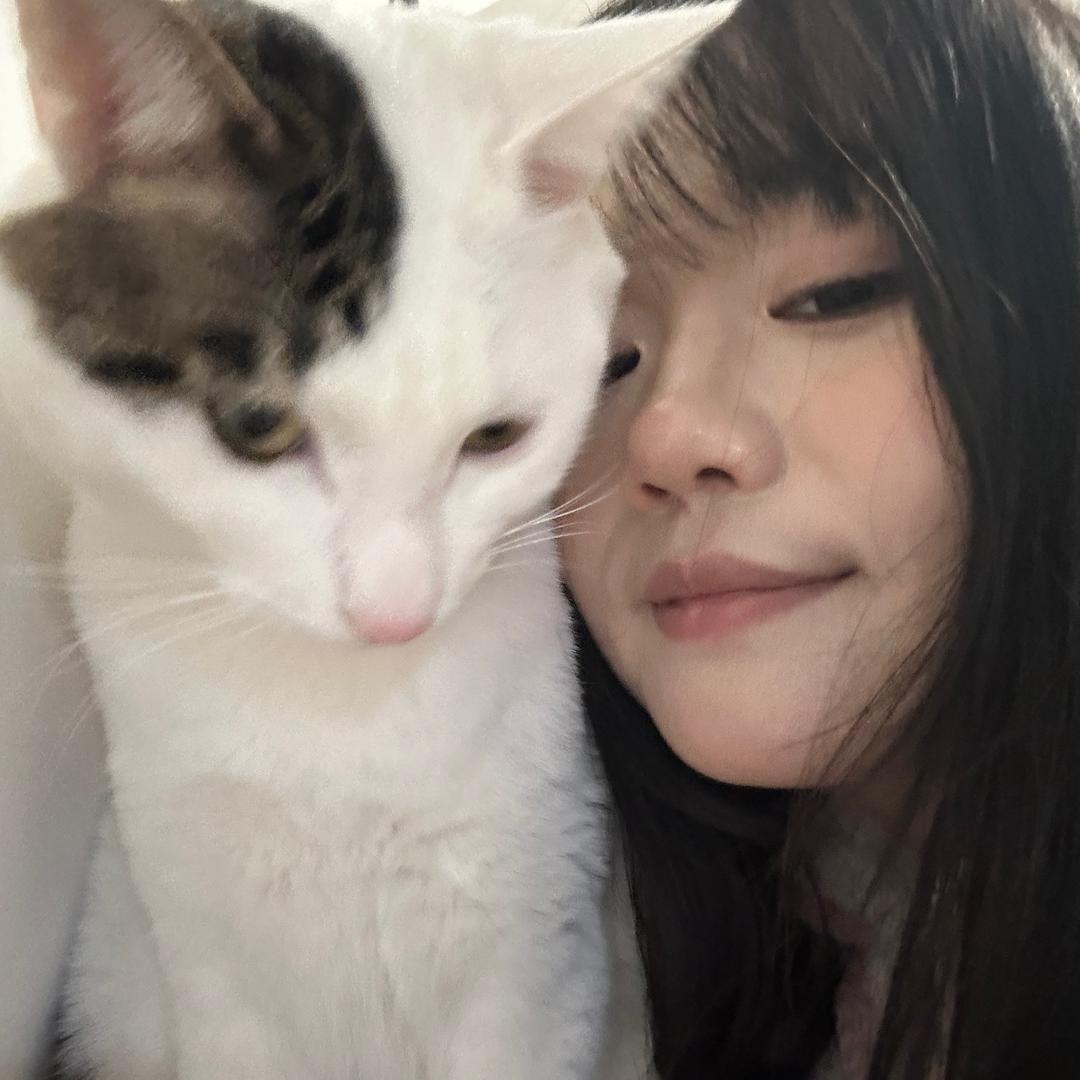 一只幸运猫.