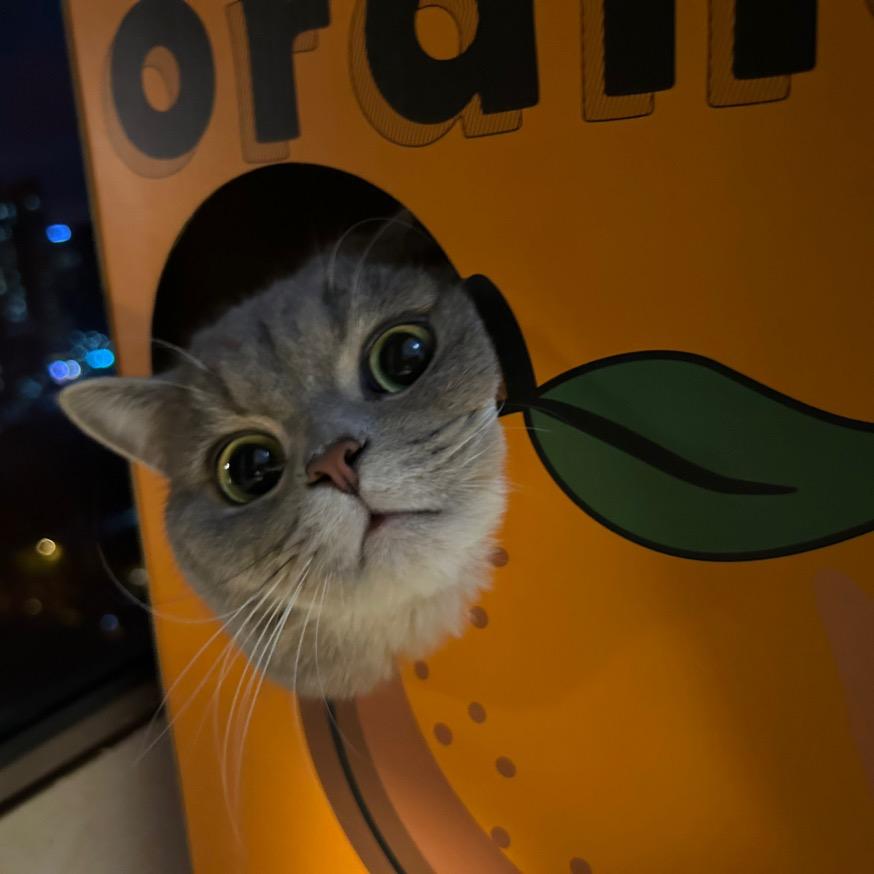 hello vi