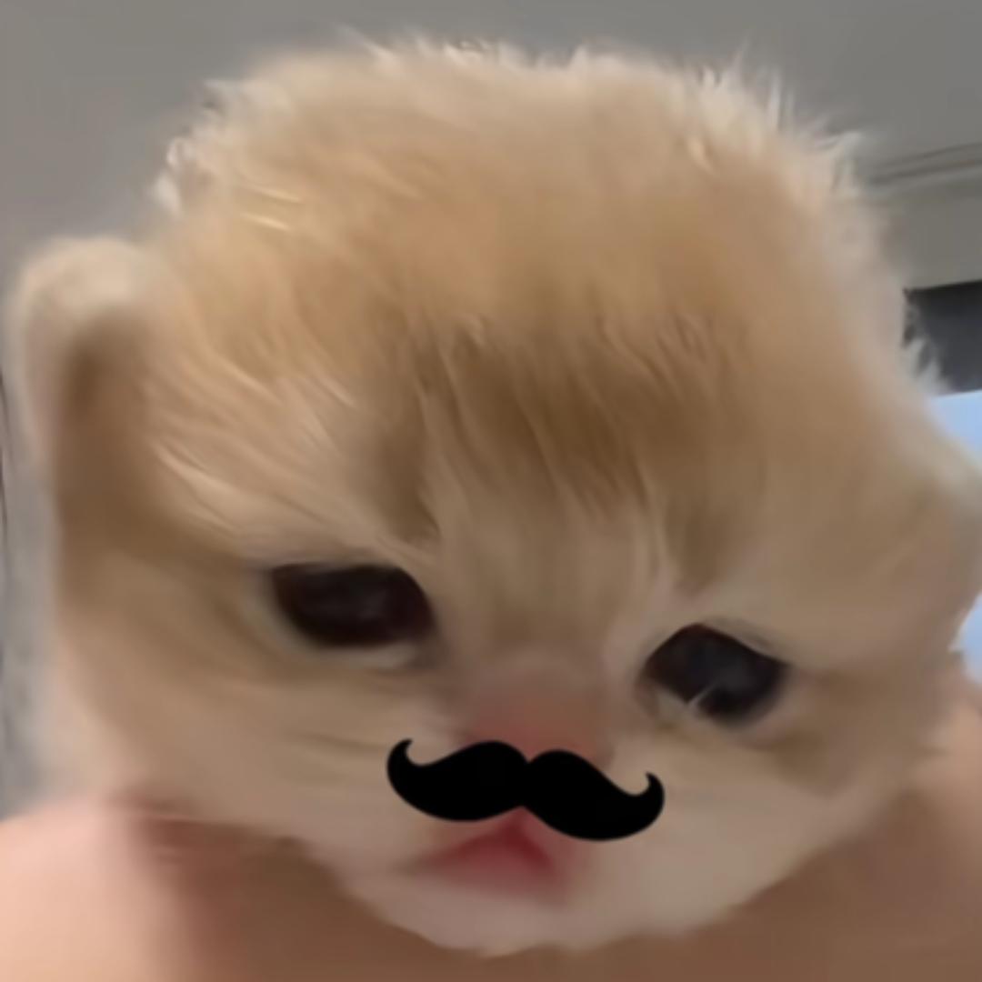 TwTen小雯