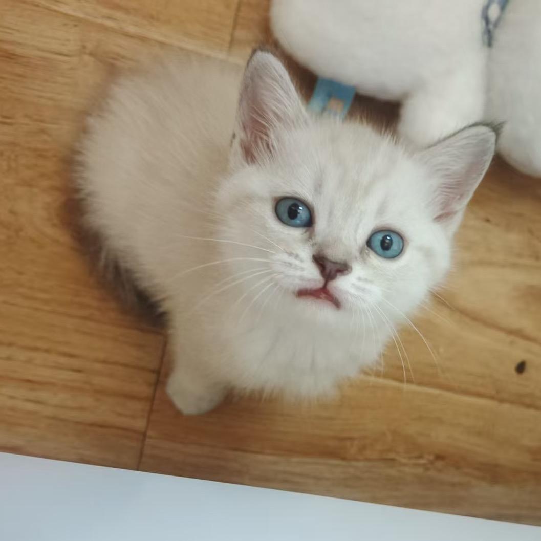 爱睡爱吃的二十