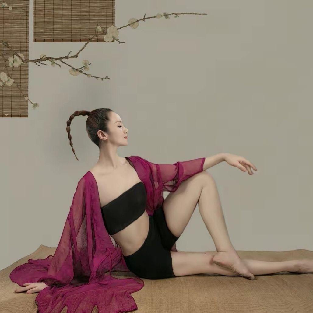 正定县燕子文化艺术交流中心