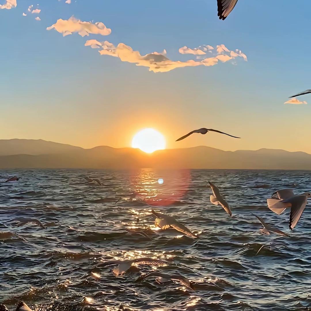 海阔天空