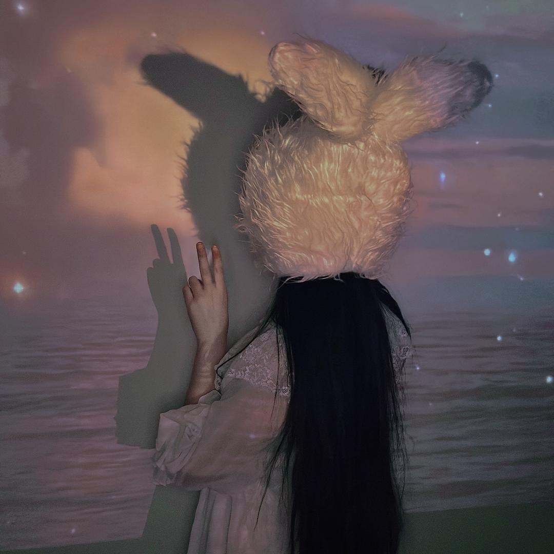 🌈幸运日记