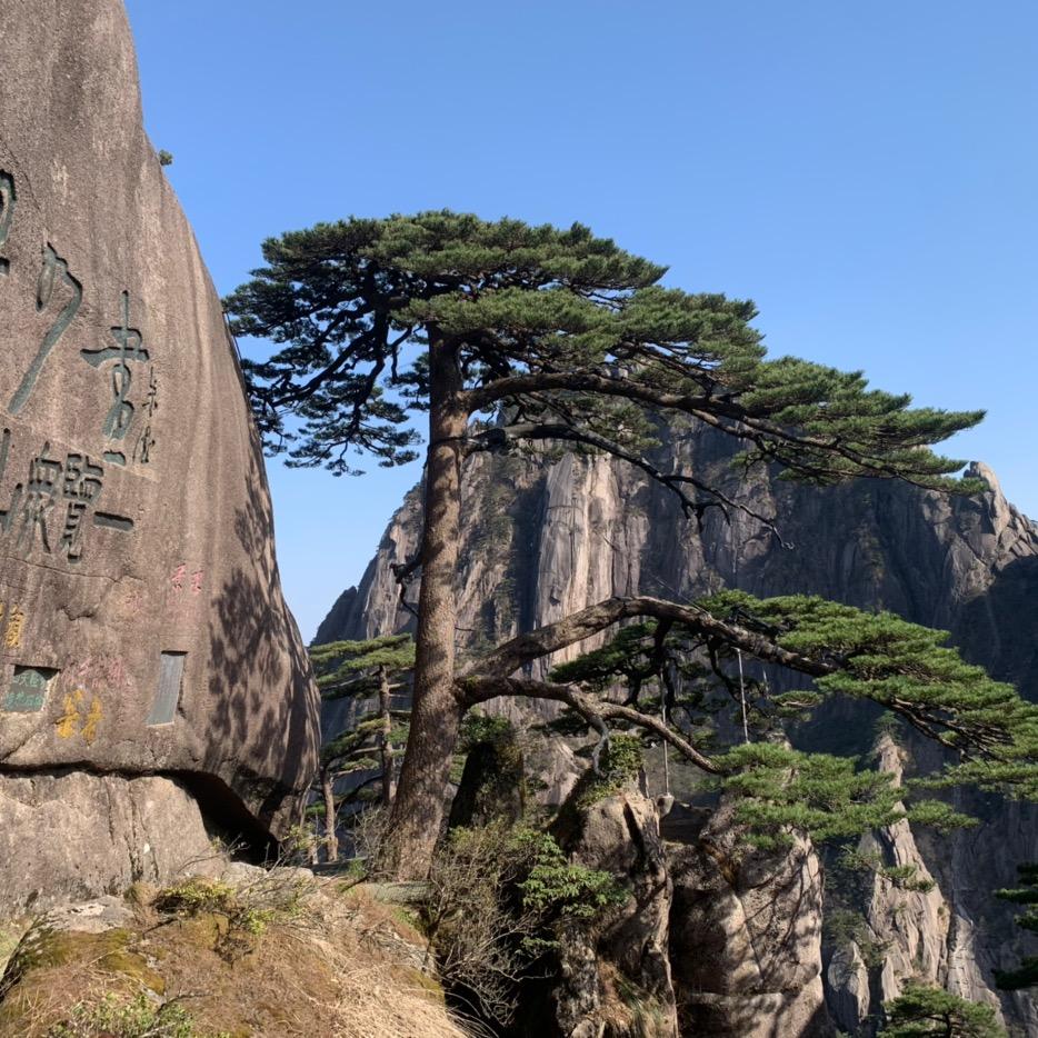 心想事成