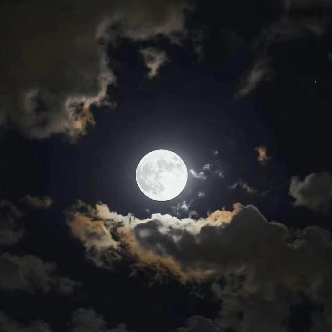 ¥一路上都有你