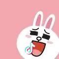 Cony