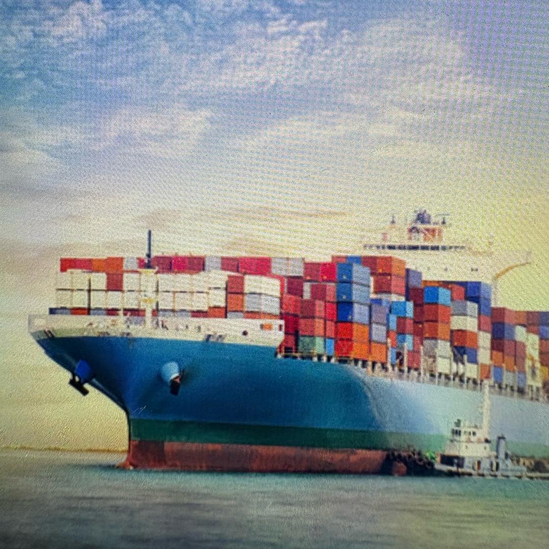 南沙码头8号仓<果果>